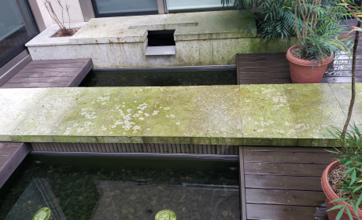 鑑賞池石材浸透苔薬品洗浄（薬品+電動ブラシ）